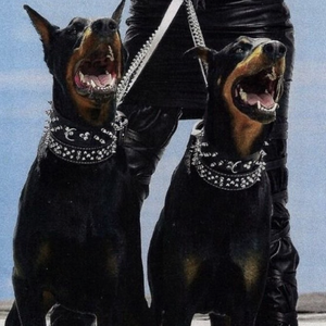 丰满高潮的艳麻麻
